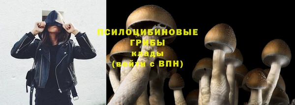 твердый Балахна