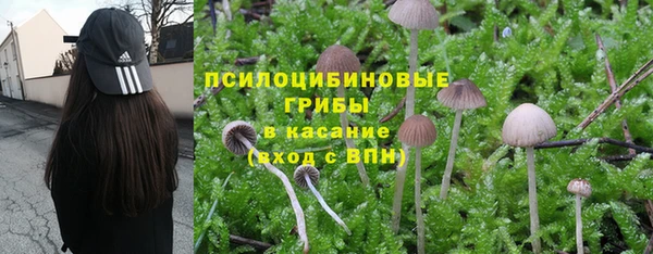 твердый Балахна